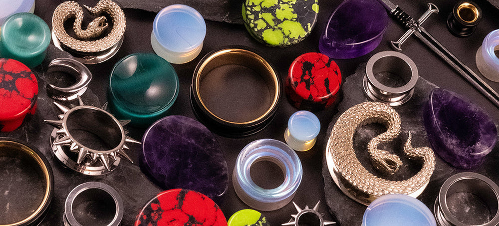 A Plug Collector’s Glossary: Every Term You Need to Know