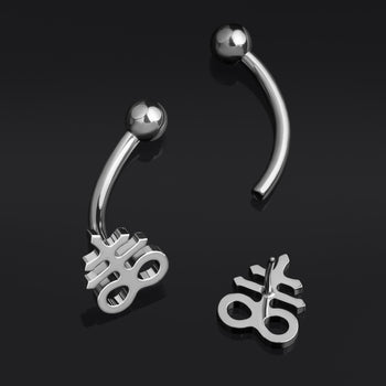 Vertical Labret, Silber, Spinne, Innengewinde, Titan
