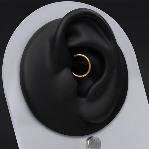 Daith Segment Ring, Gold, ASTM F136 Titanium