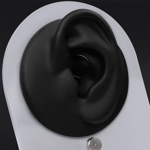 Segmentring, Silber, ASTM F136 Titan