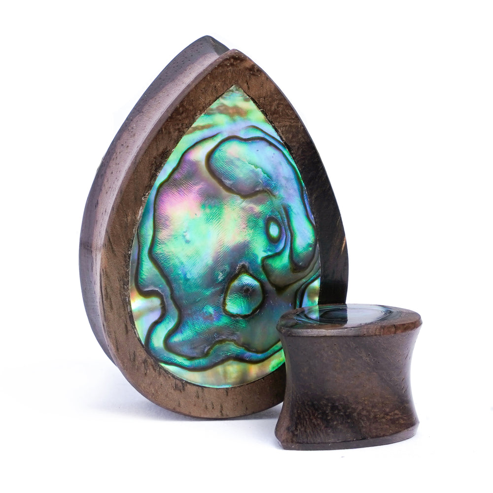 Sono Teardrop Abalone Plug / Gauge - Main